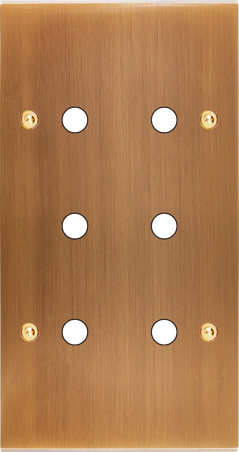 MODELEC - Façade Confidence Laiton Vieux Bronze Double Verticale P6 à Vis