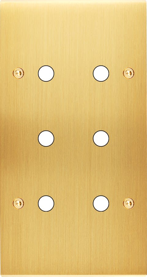 MODELEC - Façade Confidence Laiton Satine Double Verticale P6 à Vis