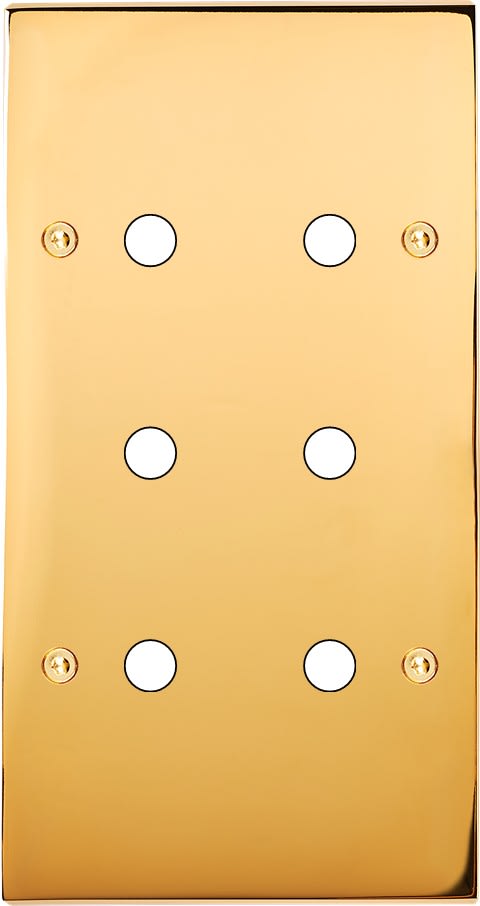 MODELEC - Façade Confidence Laiton Or Miroir Double Verticale P6 à Vis