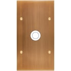 MODELEC - Façade Confidence Laiton Vieux Bronze Double Verticale 1 Gros Push à Vis