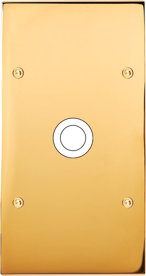MODELEC - Façade Confidence Laiton Or Miroir Double Verticale 1 Gros Push à Vis
