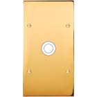 MODELEC - Façade Confidence Laiton Or Miroir Double Verticale 1 Gros Push à Vis