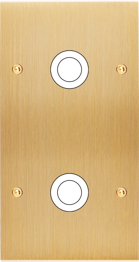 MODELEC - Façade Confidence Laiton Brosse Double Verticale 2 Gros Push à Vis