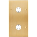 MODELEC - Façade Confidence Laiton Brosse Double Verticale 2 Gros Push à Vis