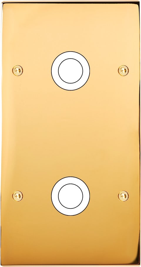 MODELEC - Façade Confidence Laiton Or Miroir Double Verticale 2 Gros Push à Vis