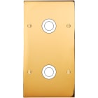 MODELEC - Façade Confidence Laiton Or Miroir Double Verticale 2 Gros Push à Vis