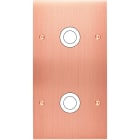 MODELEC - Façade Confidence Laiton Cuivre Satine Double Verticale Gp2 à Vis