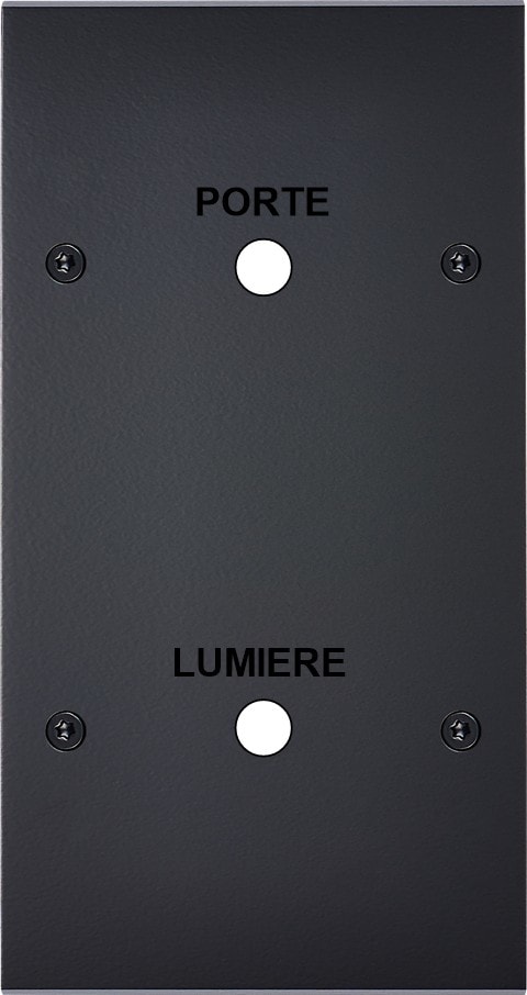 MODELEC - Façade Confidence Laiton Noir Mat Double Verticale Guichet Lumiere-Porte à Vis