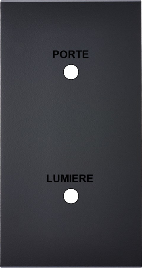 MODELEC - Façade Confidence Laiton Noir Double Verticale Guichet Lumineux L/P Magnetique