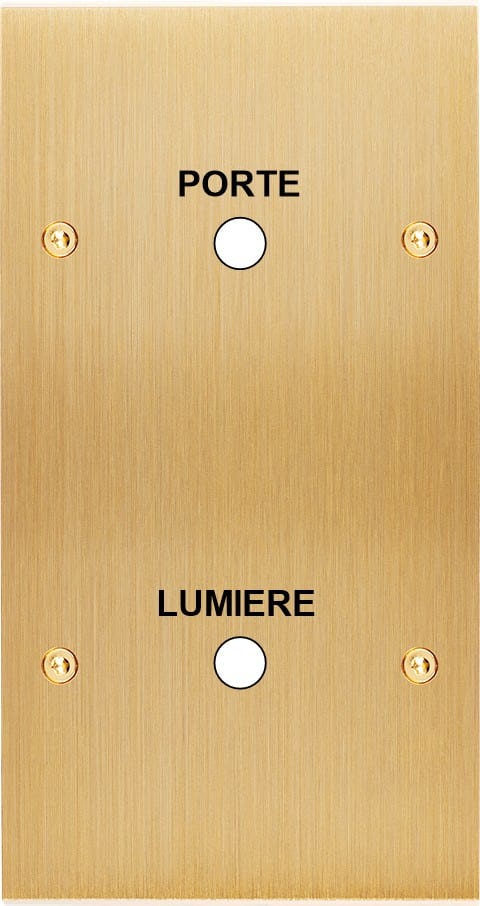 MODELEC - Façade Confidence Laiton Brosse Double Verticale Guichet Lumiere-Porte à Vis