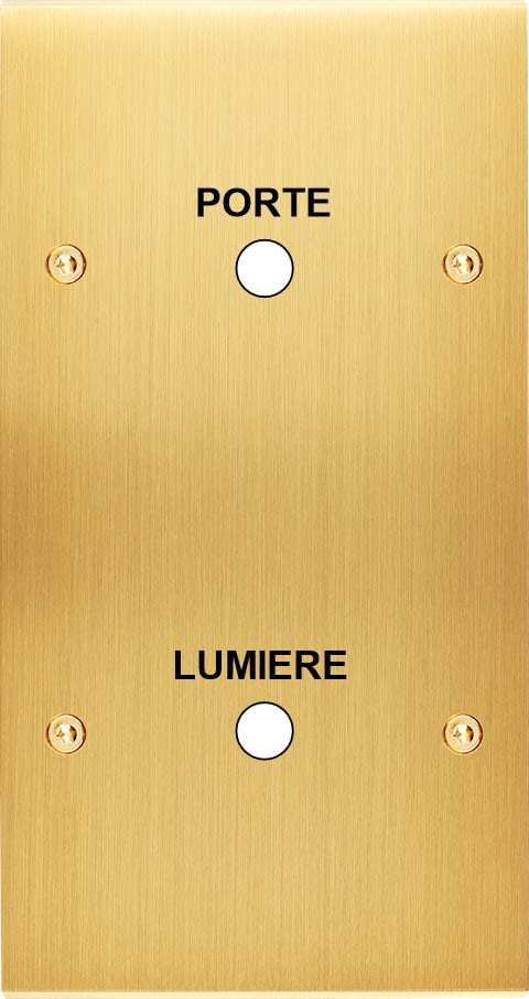 MODELEC - Façade Confidence Laiton Satine Double Verticale Guichet Lumiere-Porte à Vis