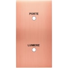 MODELEC - Façade Confidence Laiton Cuivre Satine Double Verticale Guichet Lumineux L/P