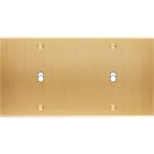MODELEC - Façade Confidence Laiton Brosse Double Horizontale B1 B1 à Vis
