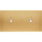 MODELEC - Façade Confidence Laiton Brosse Double Horizontale B1+Led B1+Led Magnetique