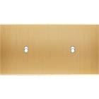 MODELEC - Façade Confidence Laiton Brosse Double Horizontale B2