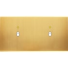 MODELEC - Façade Confidence Laiton Satine Double Horizontale B1+Led B1+Led Magnetique