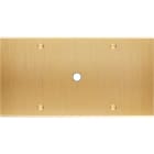 MODELEC - Façade Confidence Laiton Brosse Double Horizontale P1 à Vis