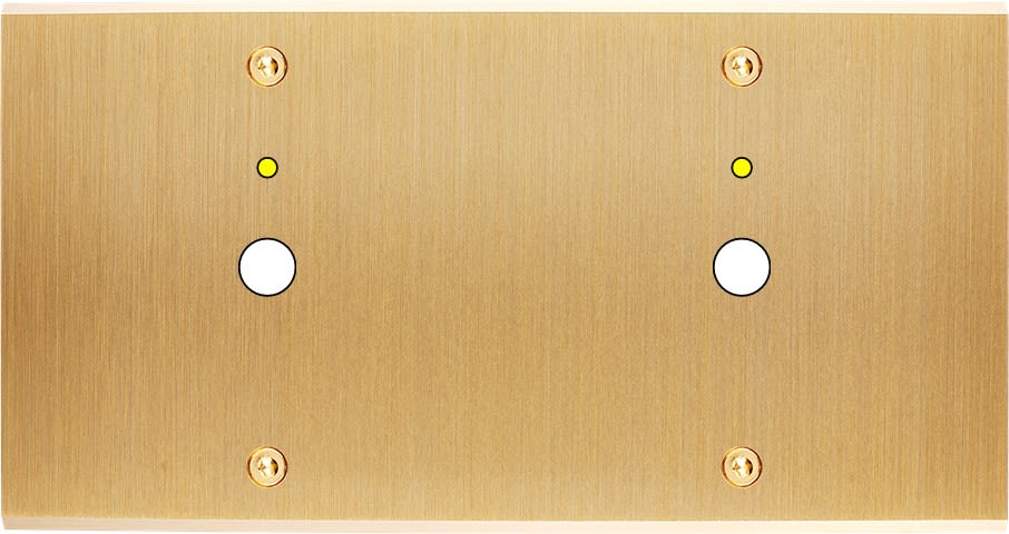 MODELEC - Façade Confidence Laiton Brosse Double Horizontale P1+Led P1+Led à Vis