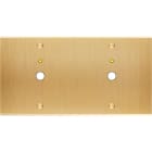 MODELEC - Façade Confidence Laiton Brosse Double Horizontale P1+Led P1+Led à Vis