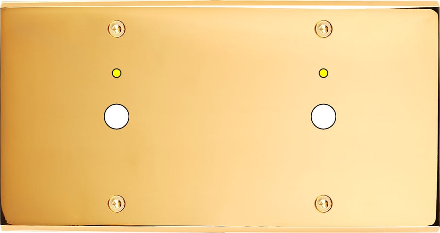 MODELEC - Façade Confidence Laiton Or Miroir Double Horizontale P1+Led P1+Led à Vis