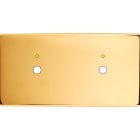 MODELEC - Façade Confidence Laiton Or Miroir Double Horizontale P1+Led P1+Led Magnetique