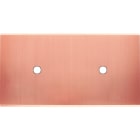 MODELEC - Façade Confidence Laiton Cuivre Satine Double Horizontale 2 Push