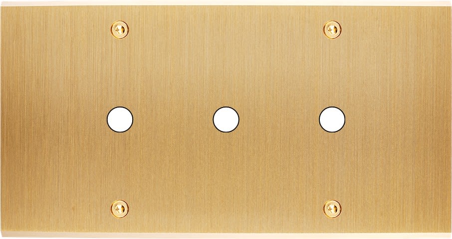 MODELEC - Façade Confidence Laiton Brosse Double Horizontale P3 à Vis