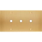 MODELEC - Façade Confidence Laiton Brosse Double Horizontale P3 à Vis