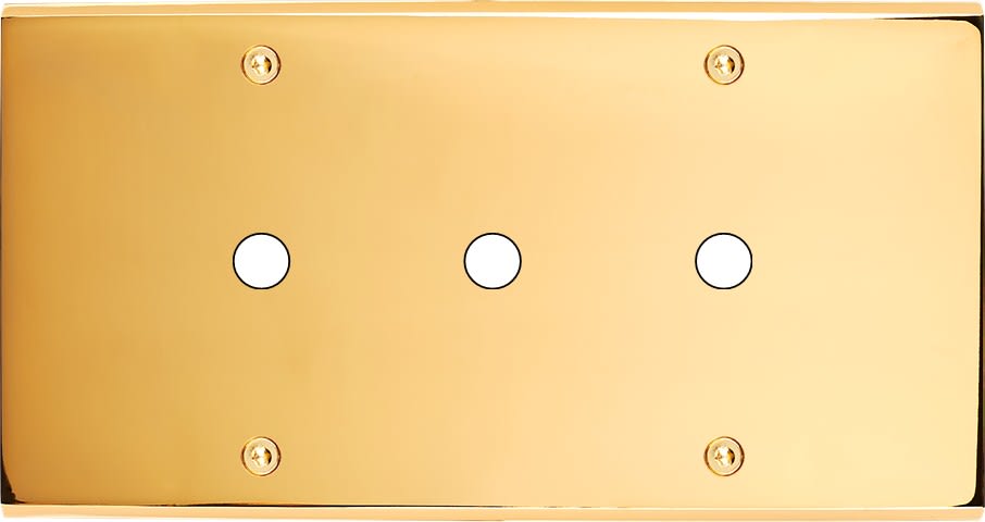 MODELEC - Façade Confidence Laiton Or Miroir Double Horizontale P3 à Vis