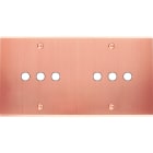 MODELEC - Façade Confidence Laiton Cuivre Satine Double Horizontale P6 à Vis