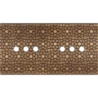 MODELEC - Façade Fascination Laiton Atlas Double Horizontale 6 Push