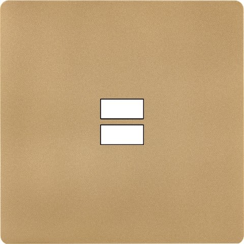 MODELEC - Façade "M" Laiton Sable Simple 1 Chargeur USB magnétique