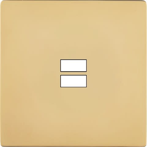 MODELEC - Façade "M" Laiton Miroir Simple 1 Chargeur USB magnétique