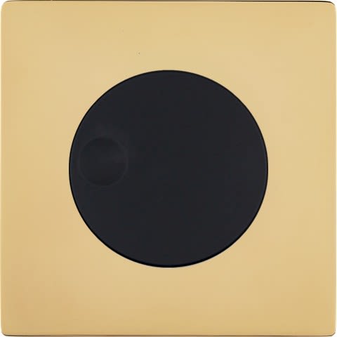 MODELEC - Façade "M" Laiton Verni Simple 1 Variateur magnétique