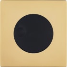 MODELEC - Façade "M" Laiton Verni Simple 1 Variateur magnétique