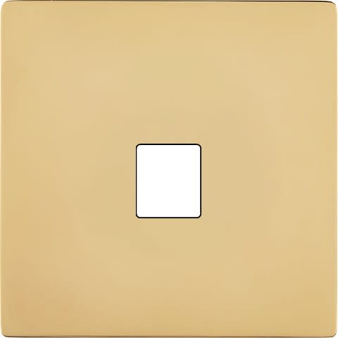 MODELEC - Façade "M" Laiton Verni Simple 1 Media magnétique