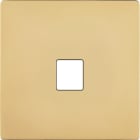 MODELEC - Façade "M" Laiton Verni Simple 1 Media magnétique