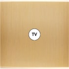 MODELEC - Façade Confidence Laiton Brosse Simple C1