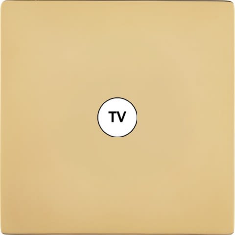 MODELEC - Façade "M" Laiton Miroir Simple 1 Prise Tv magnétique