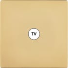 MODELEC - Façade "M" Laiton Miroir Simple 1 Prise Tv magnétique