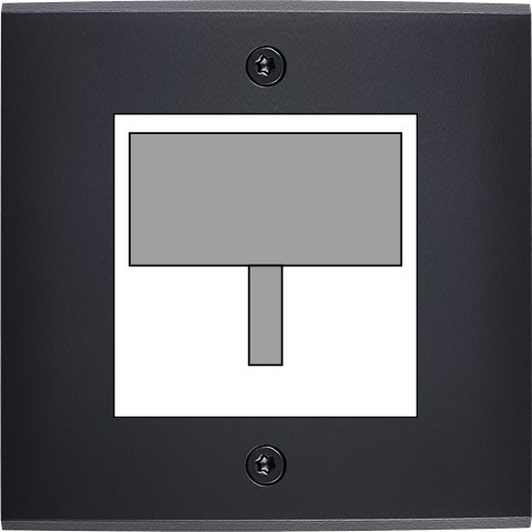 MODELEC - Façade Confidence Laiton Noir Mat Simple Detecteur-Carte-Prise Multi à Vis