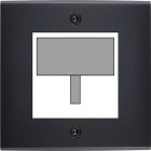MODELEC - Façade Confidence Laiton Noir Mat Simple Detecteur-Carte-Prise Multi à Vis