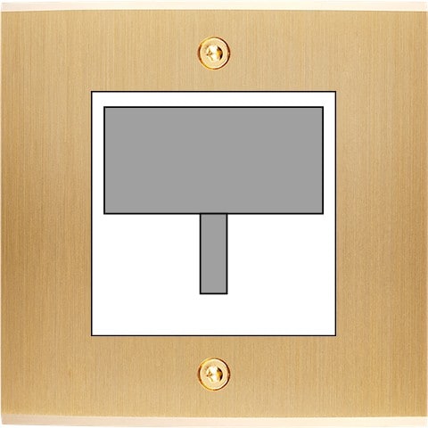 MODELEC - Façade Confidence Laiton Brosse Simple Detecteur-Carte-Prise Multi à Vis