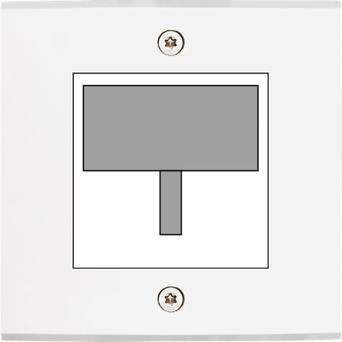 MODELEC - Façade Confidence Laiton Blanc Mat Simple Detecteur-Carte-Prise Multi à Vis