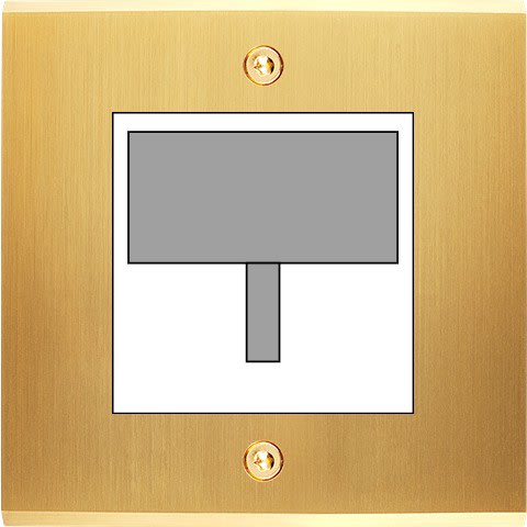 MODELEC - Façade Confidence Laiton Satine Simple Detecteur-Carte-Prise Multi Vis