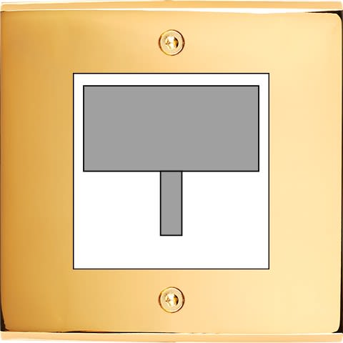 MODELEC - Façade Confidence Laiton Or Miroir Simple Detecteur-Carte-Prise Multi à Vis