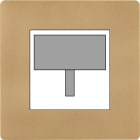 MODELEC - Façade "M" Laiton Sablé Simple R2 magnétique