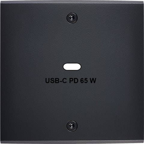 MODELEC - Façade Confidence Laiton Noir Mat Simple USB Power Delivery à Vis