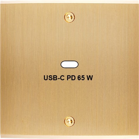 MODELEC - Façade Confidence Laiton Brossé Simple USB Power Delivery à Vis