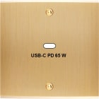 MODELEC - Façade Confidence Laiton Brossé Simple USB Power Delivery à Vis
